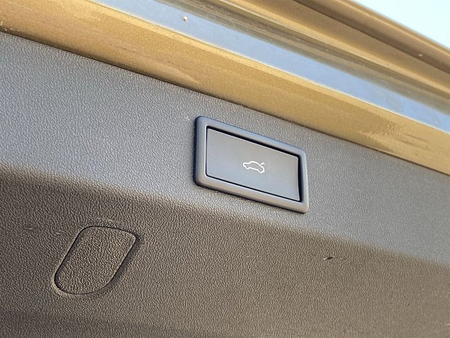 20198923.jpg