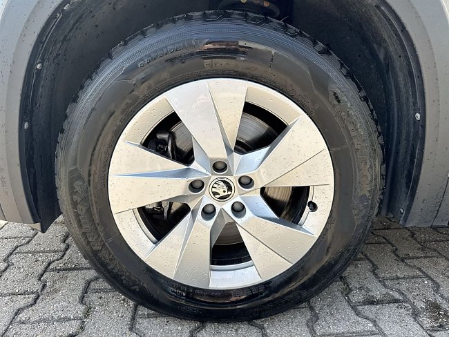 20199036.jpg