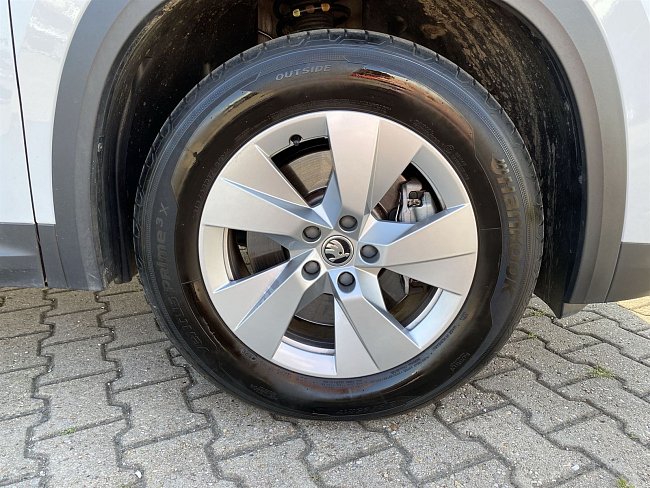 20199031.jpg