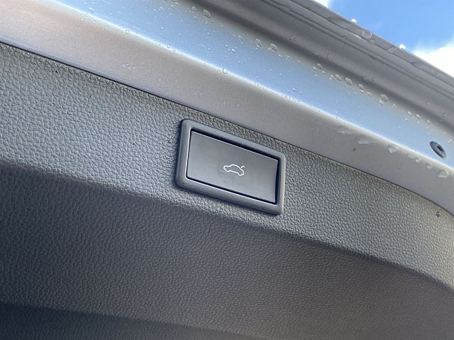 20198978.jpg