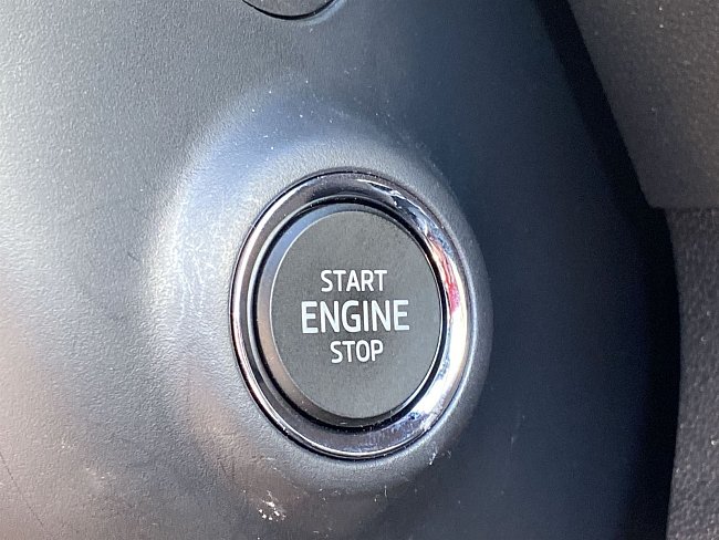 20198995.jpg