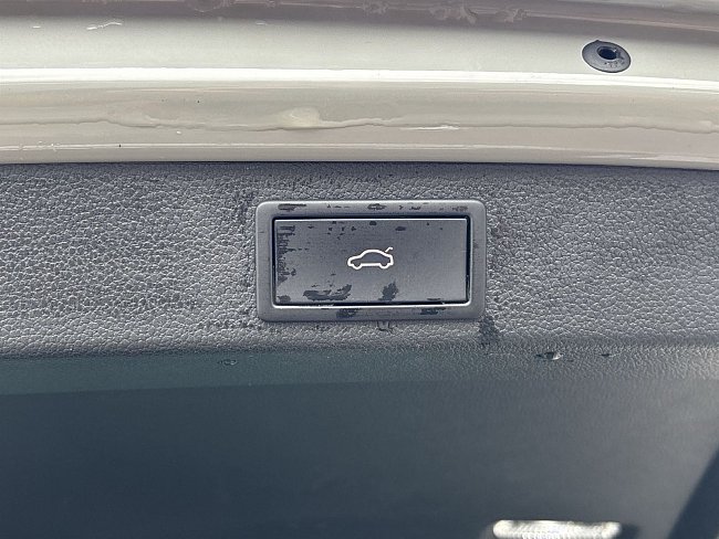 20198994.jpg