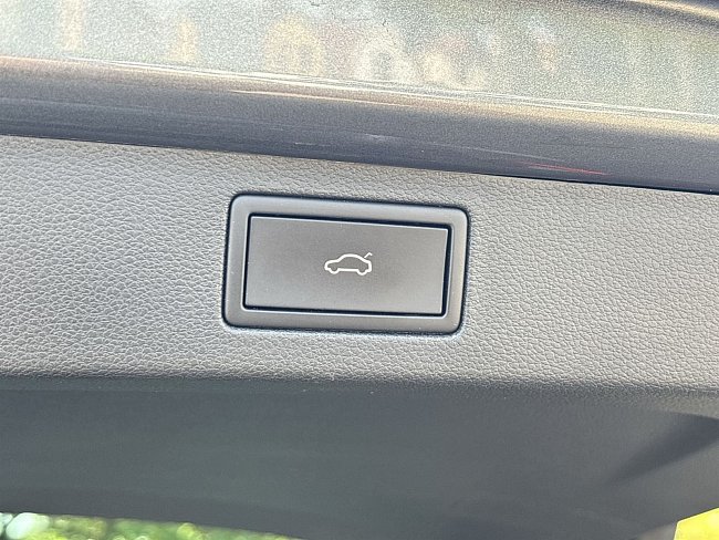 20198988.jpg