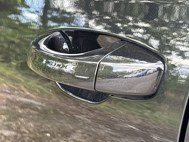 20198988.jpg