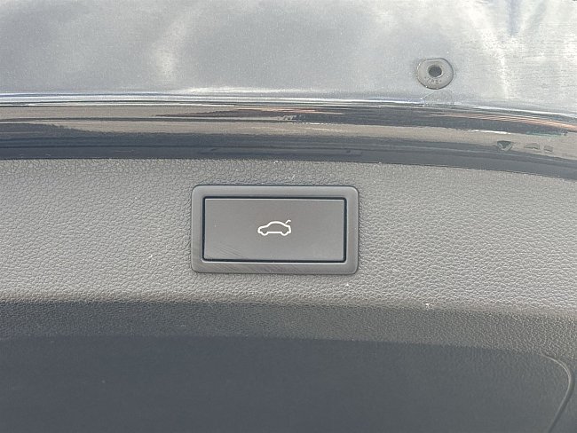 20198991.jpg