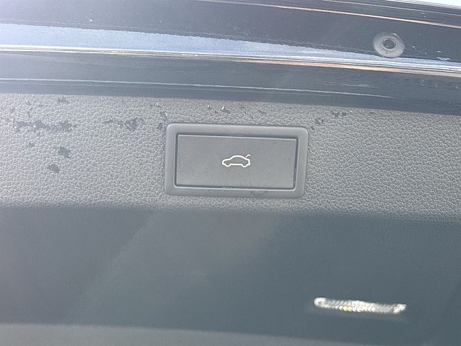 20198987.jpg