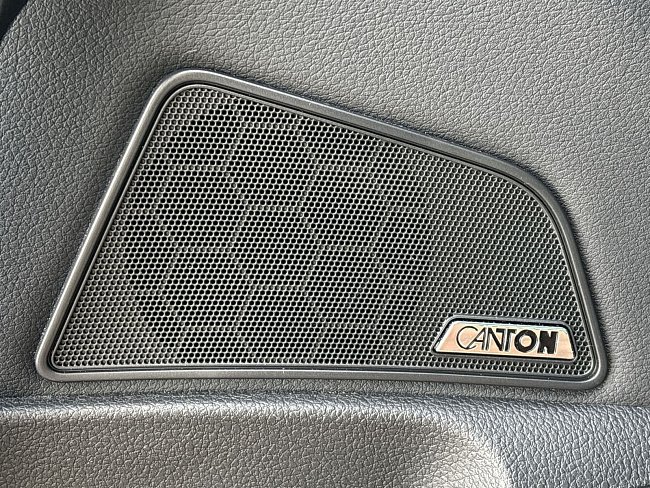 20198990.jpg