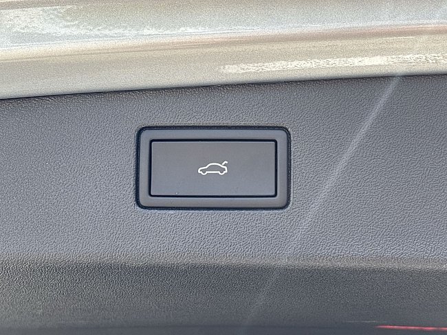 20199358.jpg