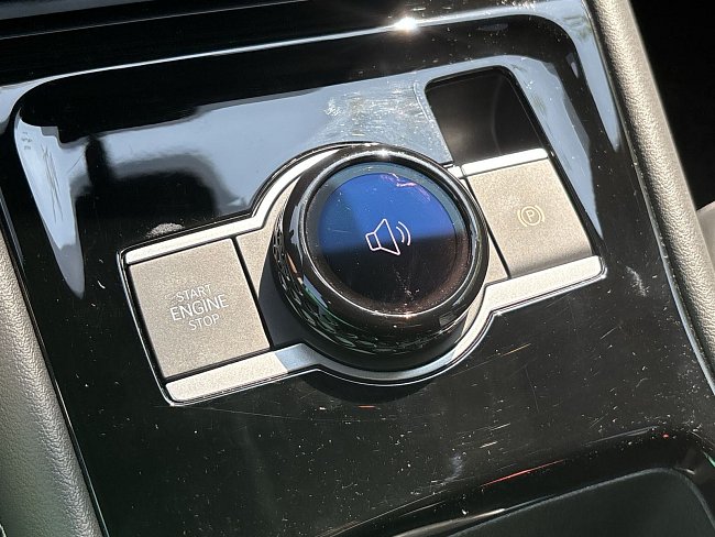 20199350.jpg