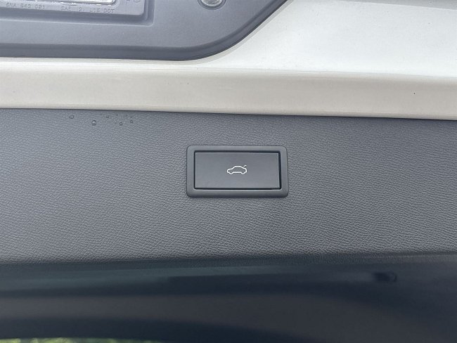 20199351.jpg