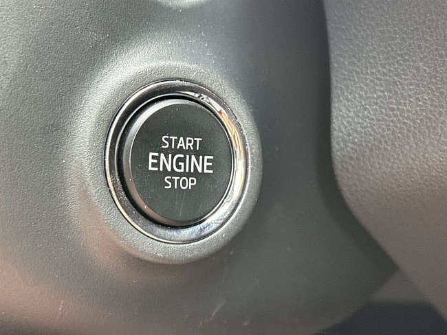 20199354.jpg