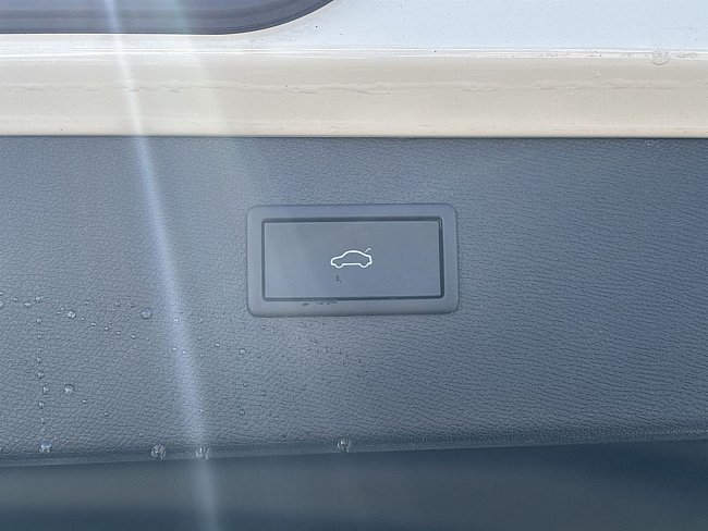 20199338.jpg