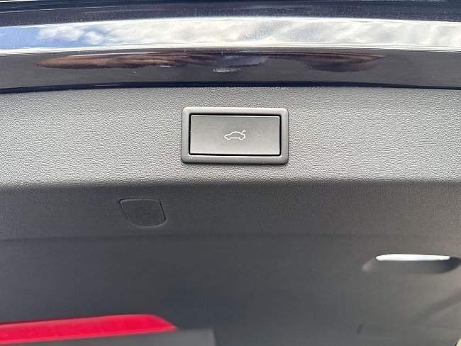 20199335.jpg