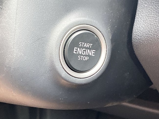 20199331.jpg
