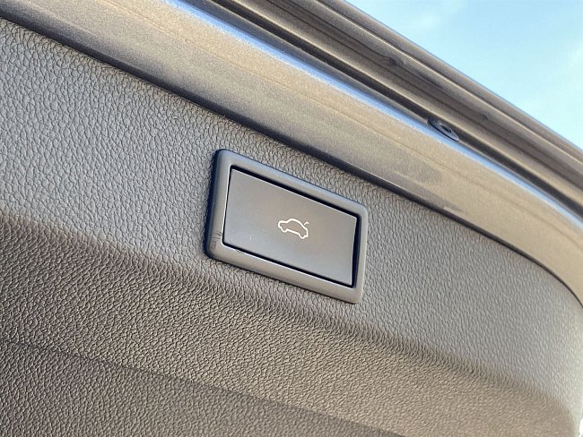 20199302.jpg
