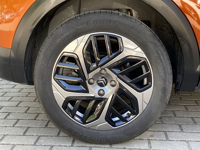 20199365.jpg