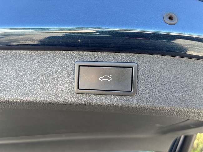 20199421.jpg