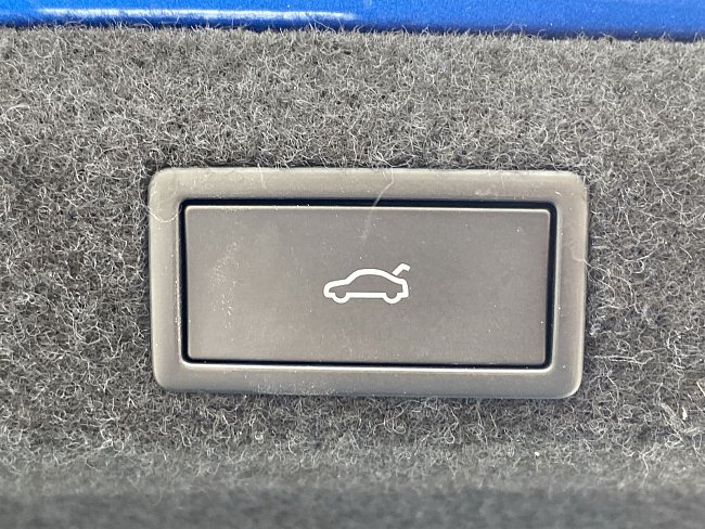 20199379.jpg