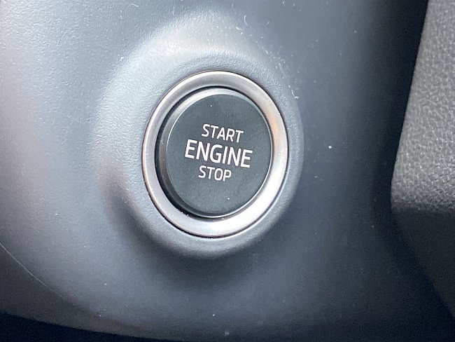 20199401.jpg