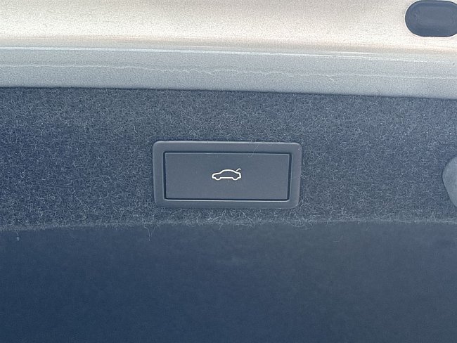 20199399.jpg