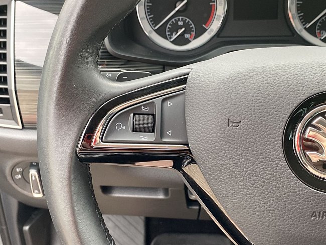20199390.jpg