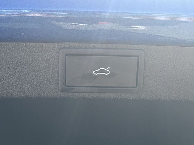 20199378.jpg
