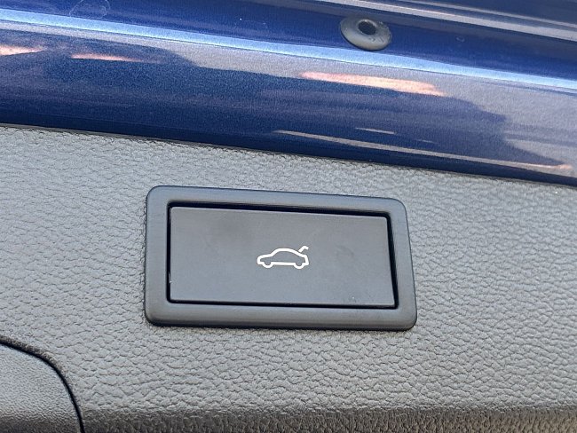 20199389.jpg