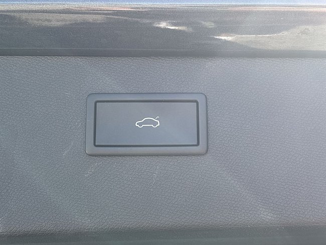 20199385.jpg