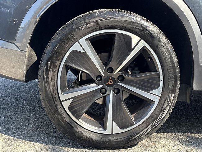 20199391.jpg