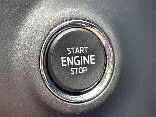 20199382.jpg
