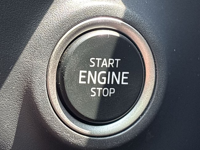 20199382.jpg