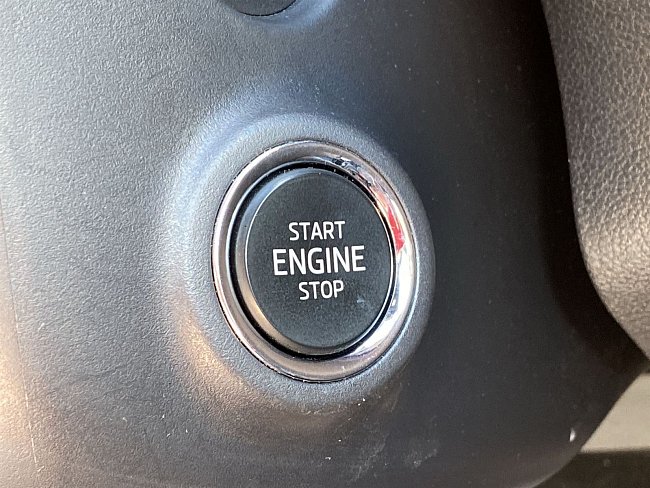 20199381.jpg