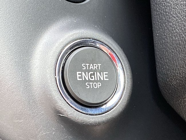 20199362.jpg