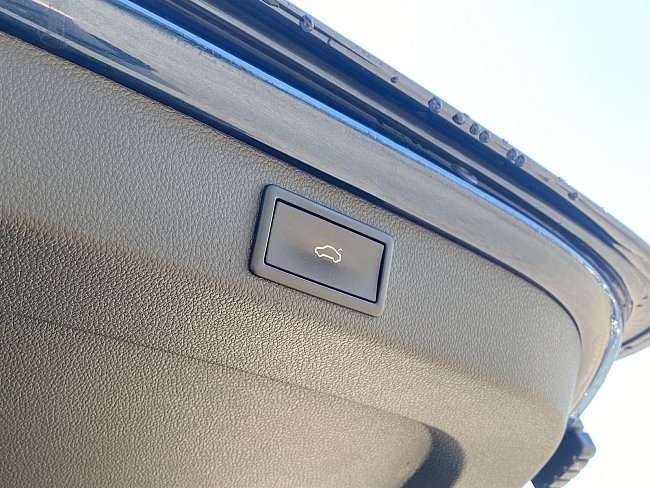 20199391.jpg