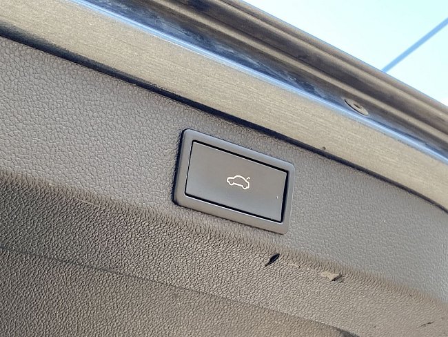 20199365.jpg