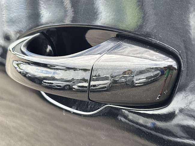 20199362.jpg