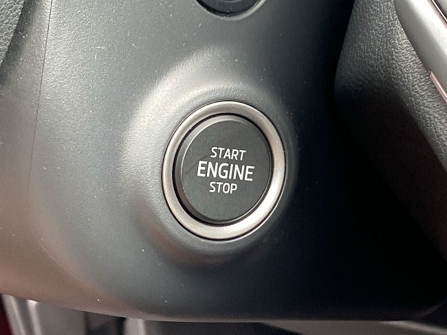 20199369.jpg