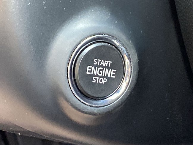 20199361.jpg
