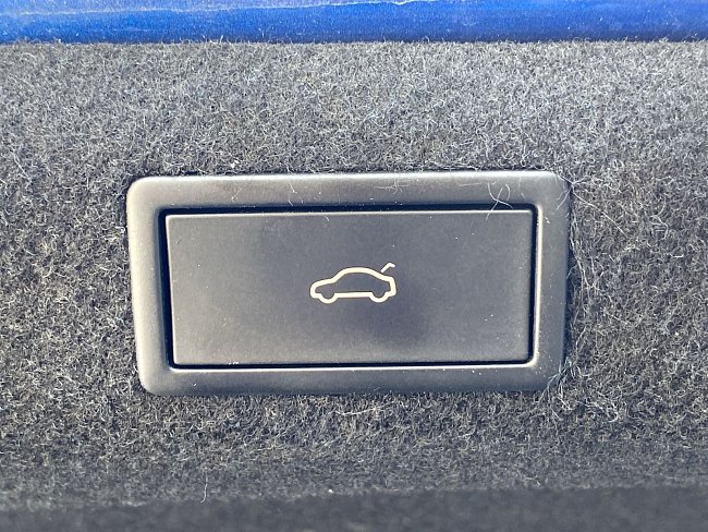 20199172.jpg