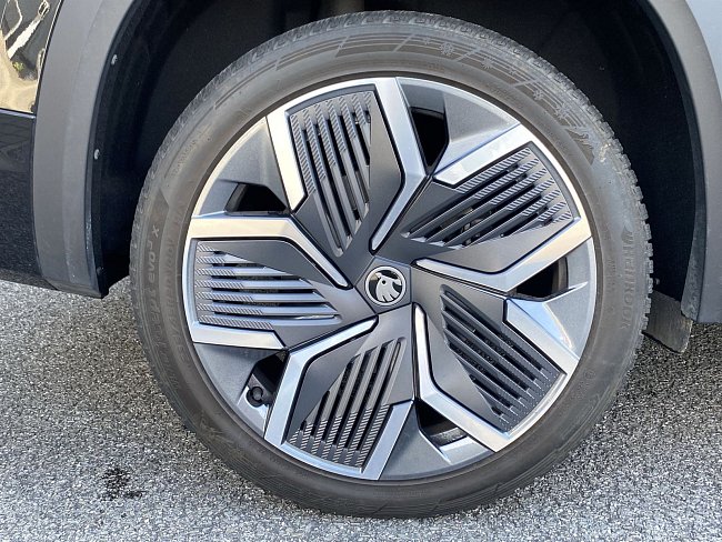 20199181.jpg