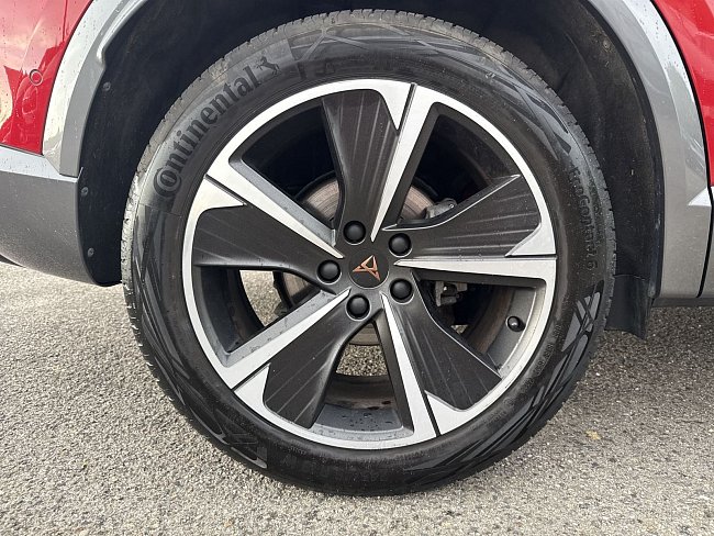 20199191.jpg