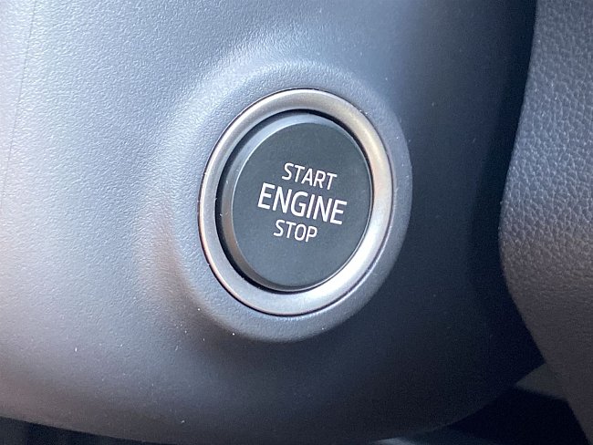 20199188.jpg