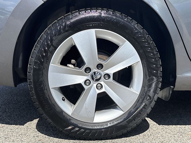 20199184.jpg