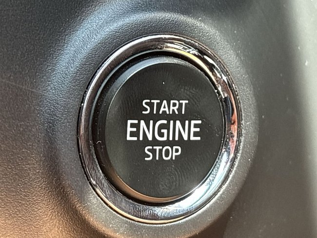20199192.jpg
