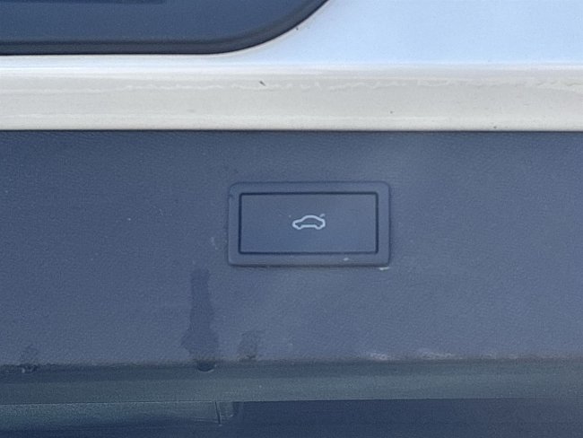 20199184.jpg