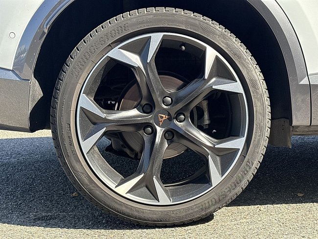 20199190.jpg