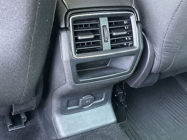 20199191.jpg
