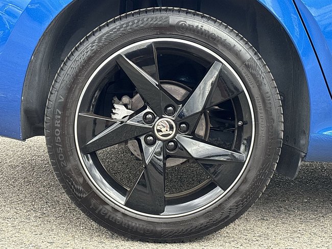20199181.jpg