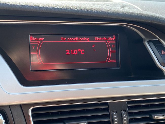 20199173.jpg