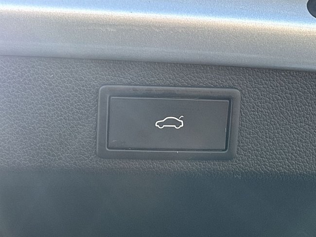 20199178.jpg